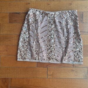 Blush Sequin Embellished Skirt